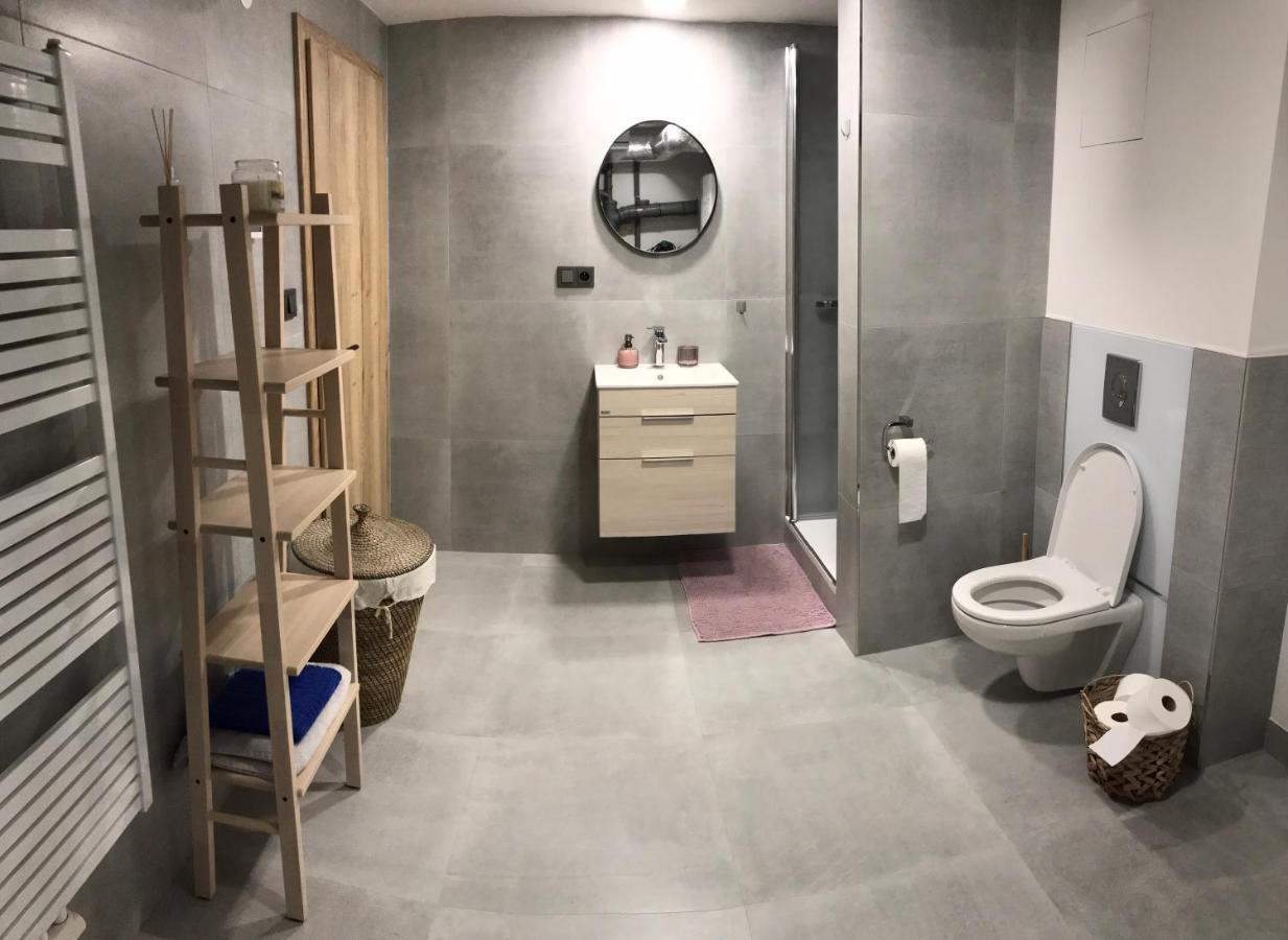 Soukromý pokoj s kuchyní a koupelnou v řadovce Nove Mesto na Morave Exteriér fotografie
